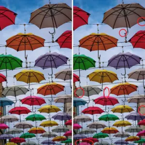 Lösung Suchbild – Regenschirme Anne’s Lane